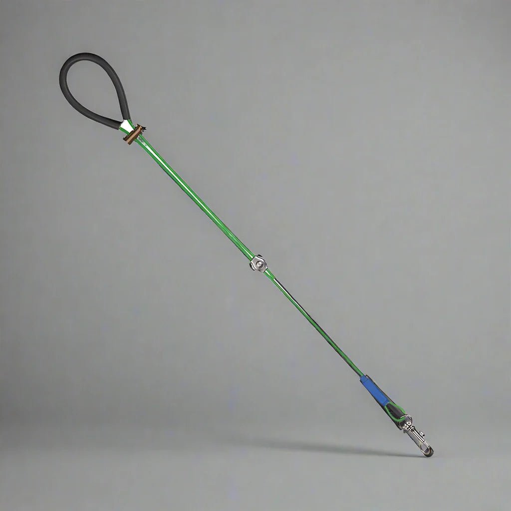 Collier Chien - LigneToilettage™ - Vert - Planète Canine