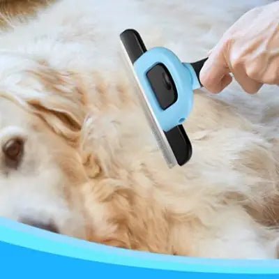 Brosse chien - DOGCombBrush™ - Bleu - Planète Canine